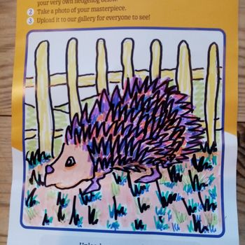 Hedgehog artwork by Linda